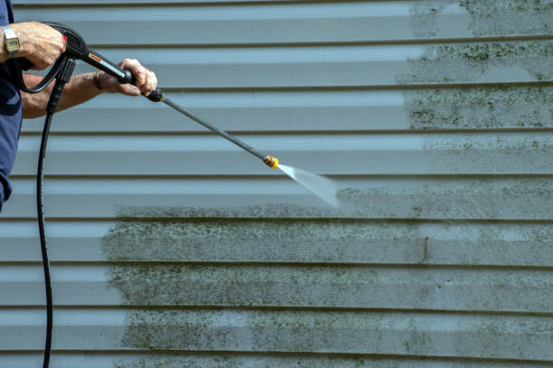 Professional Pressure Washing Services in Broadview Park, FL